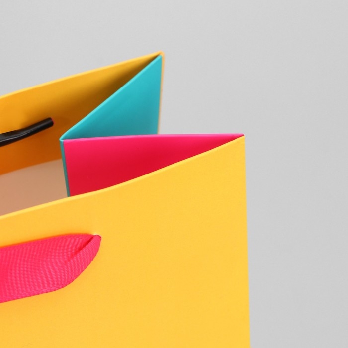 Пакет подарочный трёхцветный, упаковка, &laquo;Жёлтый-розовый-голубой&raquo;, MS 18 х 23 х 10 см