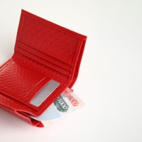 Кошелёк женский на молнии, цвет красный Кошелёк женский на молнии, цвет красный