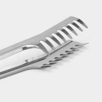Щипцы кухонные с зубцами Доляна &laquo;Тритон&raquo;, 24 см, цвет серебристый