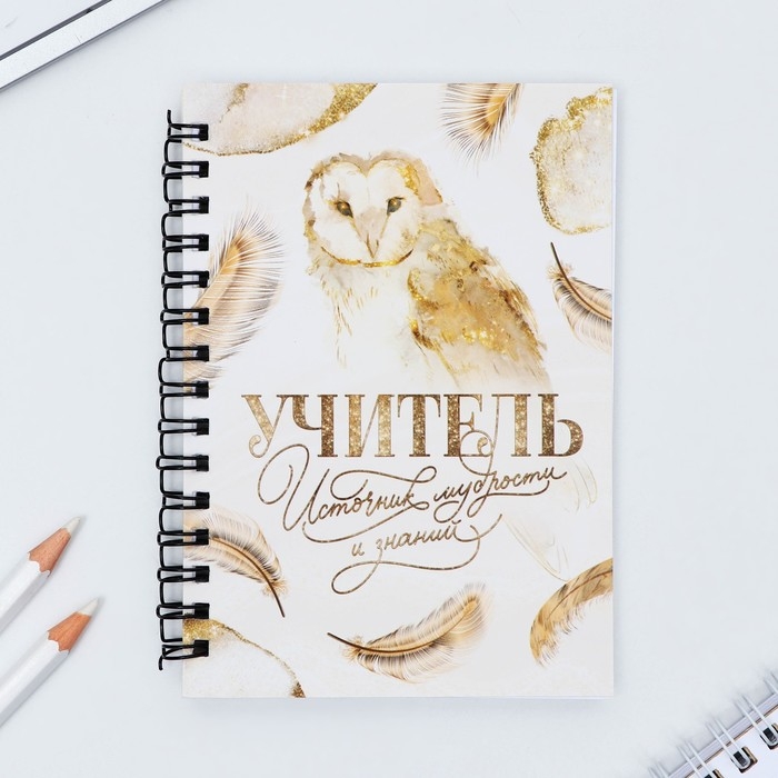 Набор &laquo;Учителю: Учитель источник мудрости и знаний&raquo;: блокнот А6, 60 л. магнитные закладки и ручка