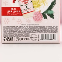 Подарочный набор косметики &laquo;С Новым Годом&raquo;, гель для душа 100 мл и соль для ванны 100 г, аромат пряного цитруса, ЧИСТОЕ СЧАСТЬЕ
