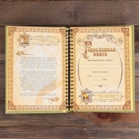 Родословная книга &laquo;Семейная летопись&raquo;, 30 листов, 24,5 х 29,2 см