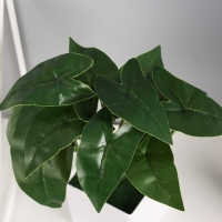 Бонсай "Филодендрон комнатный" 8х25 см, зелёный Бонсай "Филодендрон комнатный" 8х25 см, зелёный