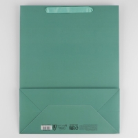 Пакет подарочный ламинированный, упаковка, «Тиффани», L 31 х 40 х 11.5 см Пакет подарочный ламинированный, упаковка, «Тиффани», L 31 х 40 х 11.5 см