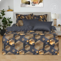 Постельное бельё евро &laquo;Альберт&raquo; 200х215см, 220х240см, 70х70см 2шт