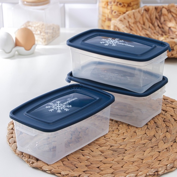 Набор прямоугольных контейнеров для замораживания продуктов &laquo;Морозко&raquo;, 1 л , 3 шт, прозрачные, крышки микс