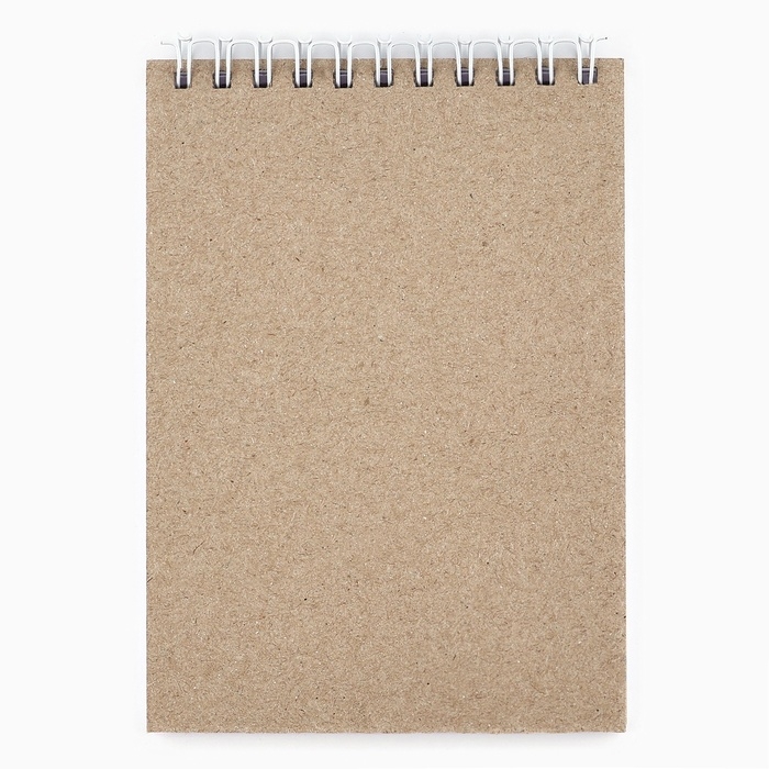 Новый год. Скетчбук А6, 40 л &laquo;Северная почта&raquo;