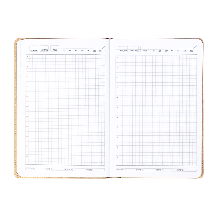 Ежедневник недатированный, обложка ПВХ, формат А5, 140 л, клетка, с хлястиком, Бежевый