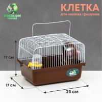 Клетка для грызунов "Пижон", 23 х 17 х 17 см, коричневая Клетка для грызунов "Пижон", 23 х 17 х 17 см, коричневая