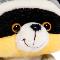 Мягкая игрушка «Енотик Тишка», 20 см Мягкая игрушка «Енотик Тишка», 20 см