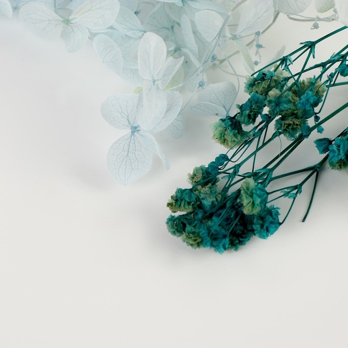 Набор сухоцветов &laquo;Северный рассвет&raquo;