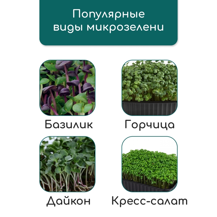 Коврик джутовый для выращивания микрозелени, 10 &times; 15 см, толщина 1 см, набор 5 шт.