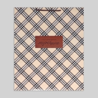 Пакет подарочный ламинированный, упаковка, &laquo;Настоящему мужчине&raquo;, XL, 40 х 49 х 15 см