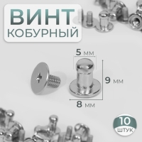 Кобурный винт d = 5/8 &times; 9 мм, 10 шт, цвет серебряный