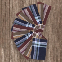 Набор мужских носовых платков 45447D-1721 38х38см 12шт жаккард сатин 81г/м, хл100% Набор мужских носовых платков 45447D-1721 38х38см 12шт жаккард сатин 81г/м, хл100%