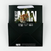 Пакет подарочный ламинированный с пластиковым окном, упаковка, &laquo;Лучшему&raquo;, 30,5 х 25 х 17,5 см