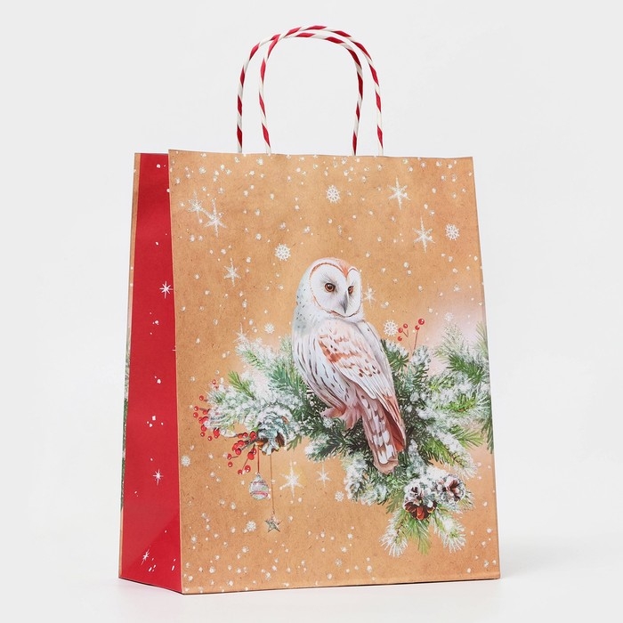 Новый год. Пакет бумажный подарочный новогодний крафт "Совушка" 26 х 32 х 12 см.