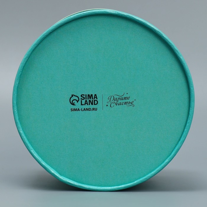 Коробка подарочная, упаковка, &laquo;Мята&raquo;, 13 х 9 см