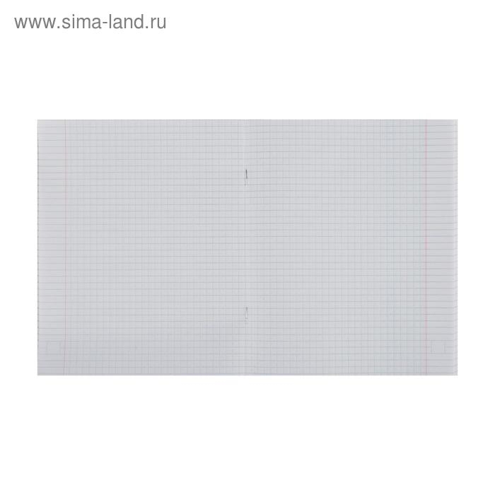 Тетрадь 48 листов в клетку Calligrata Neon, обложка мелованный картон, УФ-лак, блок офсет, МИКС Тетрадь 48 листов в клетку Calligrata Neon, обложка мелованный картон, УФ-лак, блок офсет, МИКС