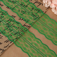 Кружево капроновое, 45 мм &times; 10 &plusmn; 1 м, цвет зелёный