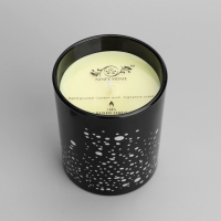 Свеча ароматическая "Silver Spot", ежевика, чёрный стакан Свеча ароматическая "Silver Spot", ежевика, чёрный стакан