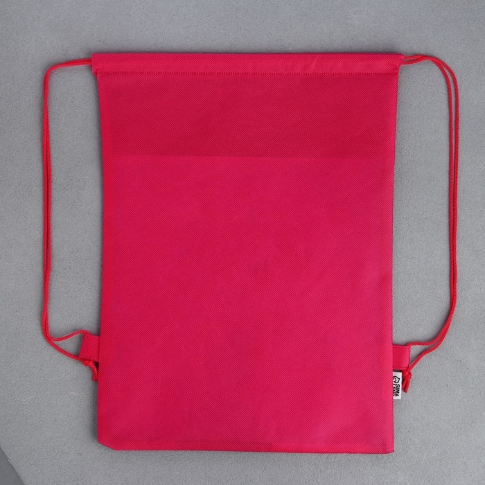 Мешок для обуви &laquo;Аниме девушка&raquo; полиэстер, размер 30 х 40 см