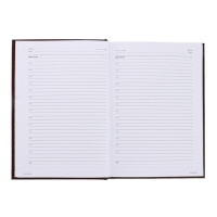 Ежедневник недатированный А5+, 136 листов Ideal new, обложка бумвинил, коричневый