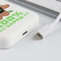 Зарядное устройство &laquo;100% заряд&raquo;, 5000мА