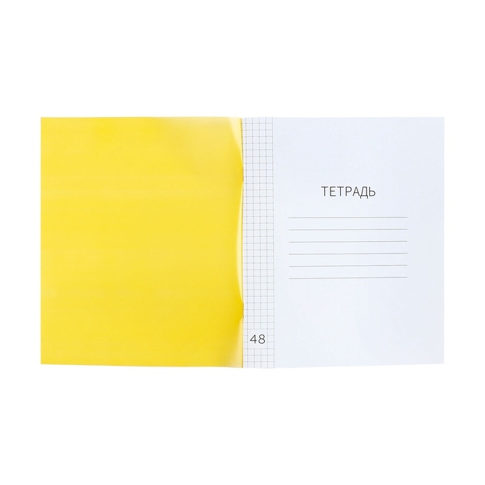 Тетрадь 48л кл ЖЁЛТАЯ, пласт обл, блок офсет Тетрадь 48л кл ЖЁЛТАЯ, пласт обл, блок офсет