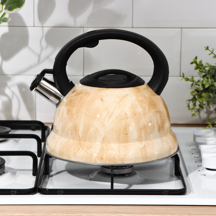 Чайник со свистком из нержавеющей стали Доляна &laquo;Скоттиш&raquo;, 2,8 л