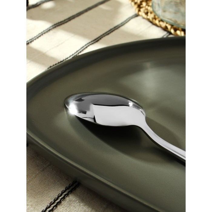 Ложка столовая из нержавеющей стали «Хоккайдо», длина 20,5 см, цвет серебряный Ложка столовая из нержавеющей стали «Хоккайдо», длина 20,5 см, цвет серебряный