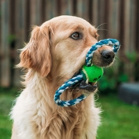 Игрушка канатная "Восьмерка с мячом посередине", 140-160 г, 24-30 см, микс цветов Игрушка канатная "Восьмерка с мячом посередине", 140-160 г, 24-30 см, микс цветов