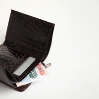 Кошелёк женский на молнии, цвет коричневый Кошелёк женский на молнии, цвет коричневый