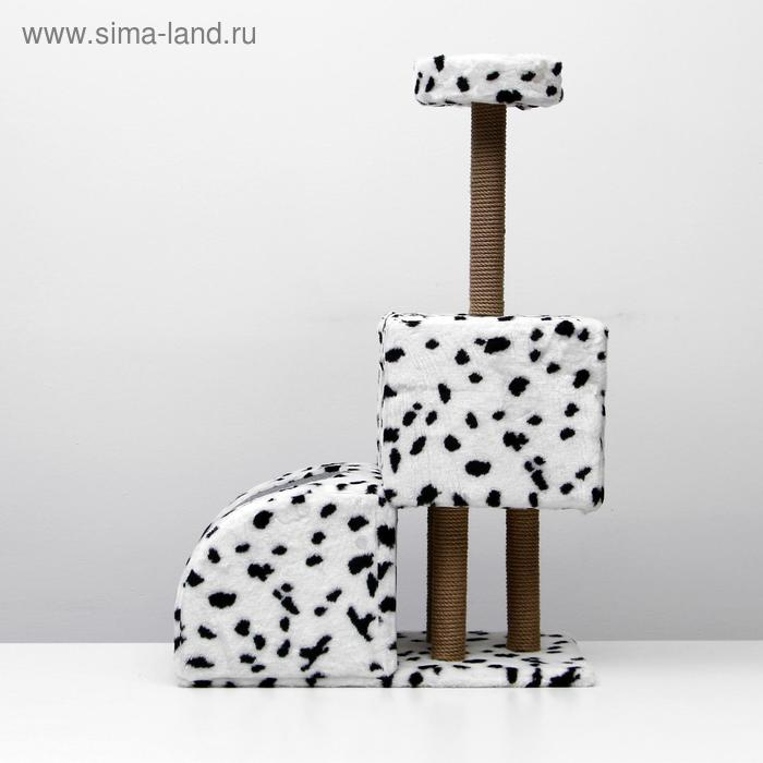 Домик для кошек с когтеточкой Домик для кошек с когтеточкой "Двухуровневый", 72 х 37 х 110 см, джут, далматинец