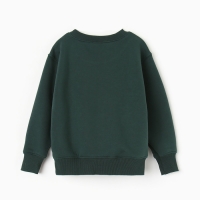 Свитшот для мальчика, НАЧЁС, цвет пихта, рост 98-104 см Свитшот для мальчика, НАЧЁС, цвет пихта, рост 98-104 см