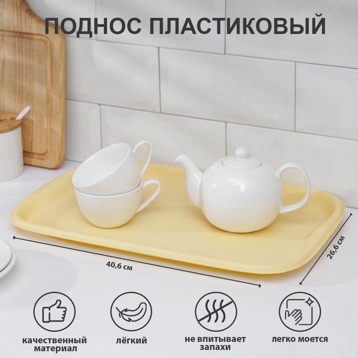 Поднос «Эгоист», 40,6×26,6 см, цвет МИКС Поднос «Эгоист», 40,6×26,6 см, цвет МИКС