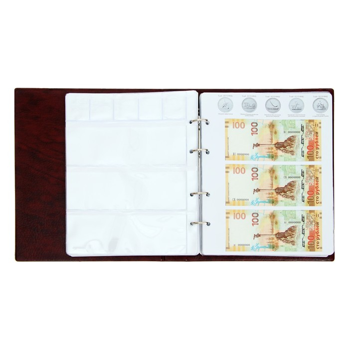 Альбом для монет на кольцах 225 х 265 мм, Альбом для монет на кольцах 225 х 265 мм, "Памятные монеты РФ", обложка искусственная кожа, 13 листов и 13 цветных картонных вставок, коричневый