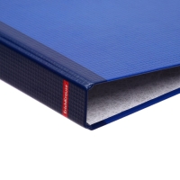 Папка на 2 кольцах А4, ErichKrause Work inside, 35 мм, 1750 мкм, синяя Папка на 2 кольцах А4, ErichKrause Work inside, 35 мм, 1750 мкм, синяя