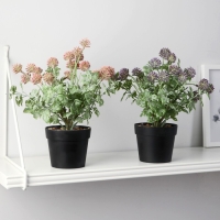 Бонсай в горшке "Мордовник" 9х22 см, микс Бонсай в горшке "Мордовник" 9х22 см, микс