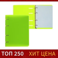 Тетрадь на кольцах A5 80 листов в клетку Calligrata Салатовая, пластиковая обложка, блок офсет Тетрадь на кольцах A5 80 листов в клетку Calligrata Салатовая, пластиковая обложка, блок офсет