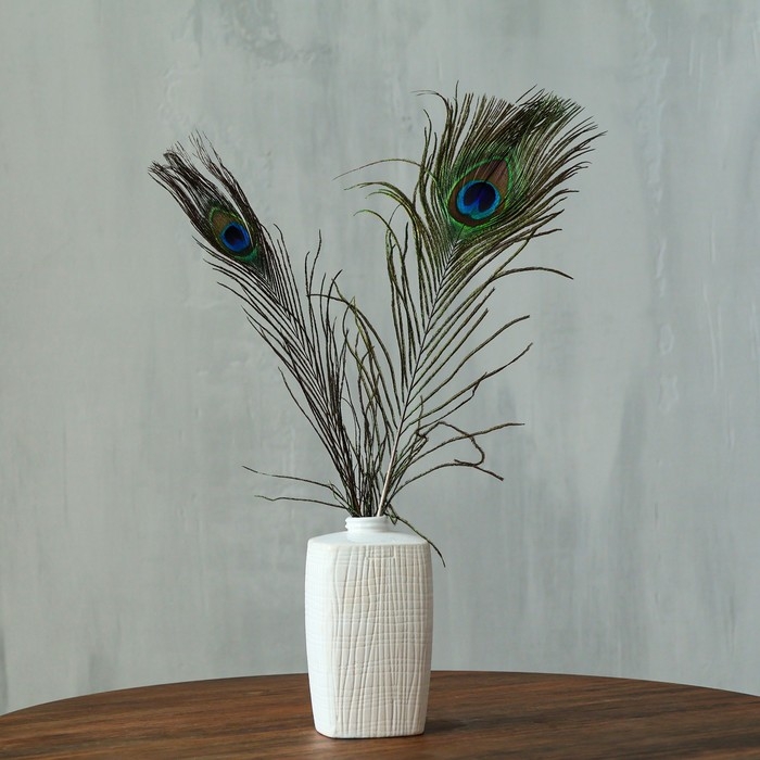Перо павлина для декора, набор 2 шт., размер 1 шт. &mdash; от 40 до 50 см