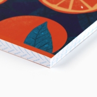 Тетрадь в клетку А4, 80 листов на скрепке &laquo;1 сентября:Цитрусы&raquo;