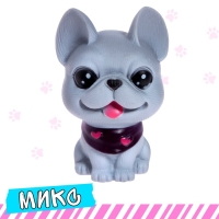 Питомец «Любимый», МИКС Питомец «Любимый», МИКС