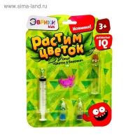 Набор для опытов &laquo;Растим цветок&raquo;, цвета МИКС