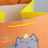 Пакет подарочный квадратный, упаковка, «Котик и тортик», 30 х 30 х 30 см Пакет подарочный квадратный, упаковка, «Котик и тортик», 30 х 30 х 30 см