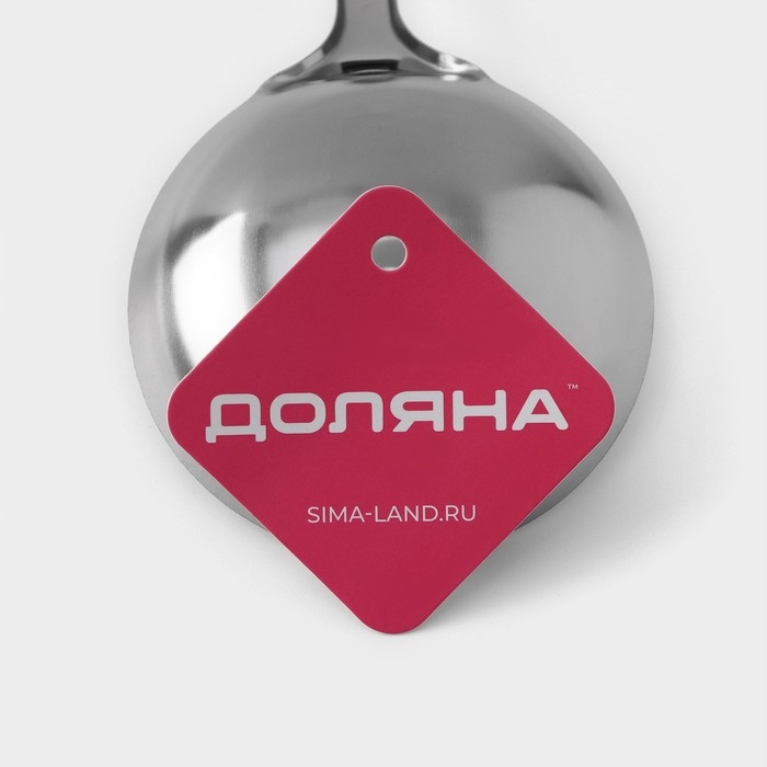 Половник из нержавеющей стали Доляна «Стандарт», 100 мл, h=31 см, цвет серебряный Половник из нержавеющей стали Доляна «Стандарт», 100 мл, h=31 см, цвет серебряный