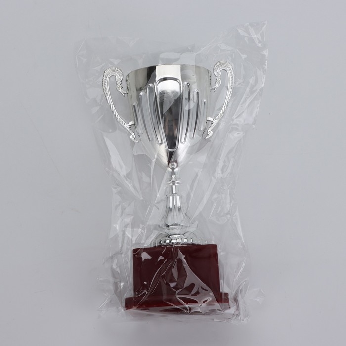 Кубок 045, наградная фигура, серебро, подставка пластик, 20 х 10,6 х 8 см.