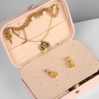 Органайзер для хранения украшений «Шкатулка портативная», 11×16×5 см, цвет розовый Органайзер для хранения украшений «Шкатулка портативная», 11×16×5 см, цвет розовый