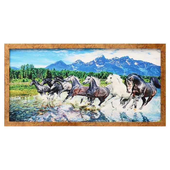 Гобеленовая картина "Дух свободы" 45*83 см рамка микс