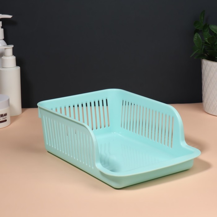 Органайзер для хранения косметических принадлежностей &laquo;Prestige&raquo;, 2 секции, 23 &times; 16,1 см, цвет мятный